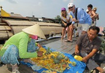 Tour MIỆT VƯỜN - RỪNG TRÀM TRÀ SƯ 3N2Đ | Mỹ Tho - Bến Tre - Cần Thơ - Châu Đốc