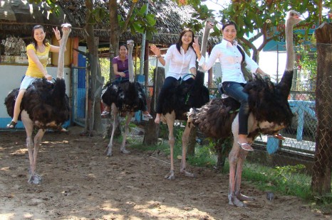 Tour Du Lịch Miền Tây - Miền Đông Nam Bộ 5 Ngày 4 Đêm khởi hành từ Hà Nội