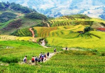 Tour Hà Nội - Sapa - Lao Chải - Tả Van - Giàng Tà Chải - Cát Cát 2 Ngày 1 Đêm