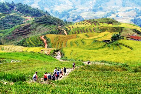 Tour Hà Nội - Sapa - Lao Chải - Tả Van - Giàng Tà Chải - Cát Cát 2 Ngày 1 Đêm