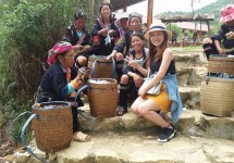 Tour Hà Nội - Sapa - Lao Chải - Tả Van - Cát Cát - Giàng Tà Chải - Hàm Rồng 3 Ngày