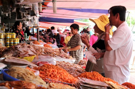 Tour Tham Quan Đông Đảo Phú Quốc Nửa Ngày