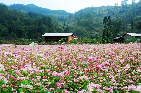 Tour Hà Nội - Hà Giang - Quản Bạ - Đồng Văn - Cột Cờ Lũng Cú - Hà Nội 3 Ngày 2 Đêm