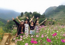 Tour Du Lịch Sài Gòn - Sapa - Bản Cát Cát - Hàm Rồng 3 Ngày (Đi - Về bằng tàu hỏa)