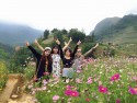 Tour Du Lịch Sài Gòn - Sapa - Bản Cát Cát - Hàm Rồng 3 Ngày