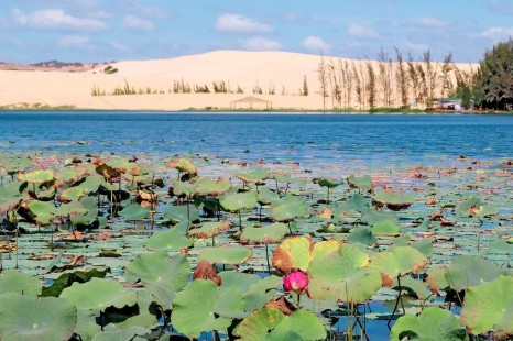 Tour tham quan Mũi Né Nửa Ngày - Ngắm Mặt Trời Mọc trên đồi cát bay