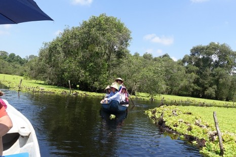 Tour Đà Nẵng - Cần Thơ - Bạc Liêu - Cà Mau - Nam Du - Hà Tiên - Châu Đốc 7 Ngày