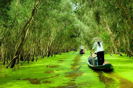 Tour Sài Gòn - Cần Thơ - Bạc Liêu - Cà Mau - Nam Du - Hà Tiên - Châu Đốc 7 Ngày