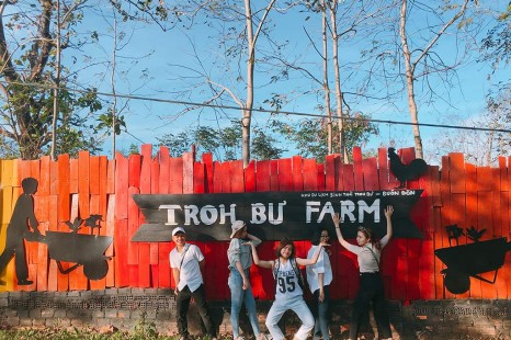 Tour Buôn Mê Thuột – Buôn Đôn – KDL Troh Bư/Kotam - Kdl Hồ Lắk/Ea Kao 4 Ngày 3 Đêm