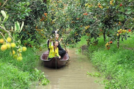 Cần Thơ - Châu Đốc 2 Ngày 2 Đêm: Hành Trình Đặc Biệt - Cảm Nhận Khác Biệt