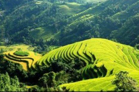 Tour Du Lịch Đà Nẵng - Hà Nội - Sapa - Cát Cát - Hàm Rồng 4 Ngày 3 Đêm