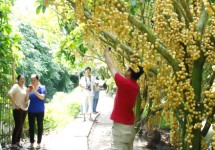 Tour Châu Đốc - Hà Tiên - Cà Mau - Bạc Liêu - Sóc Trăng - Cần Thơ - Phú Quốc 8 Ngày