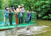 Tour Du Lịch Cần Giờ 2 Ngày 1 Đêm