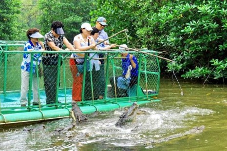 Tour Du Lịch Cần Giờ 2 Ngày 1 Đêm