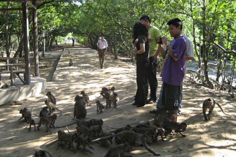 Tour Du Lịch Cần Giờ 2 Ngày 1 Đêm