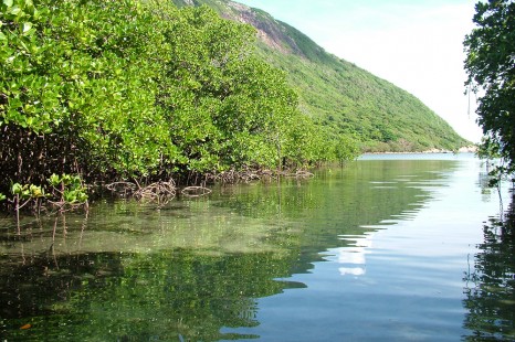 Tour SÀI GÒN - CÔN ĐẢO | Những Điều Huyền Bí - 3 Ngày 2 Đêm