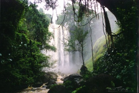 Tour Du Lịch Đà Lạt - Bảo Lộc - Madagui 4 Ngày 3 Đêm