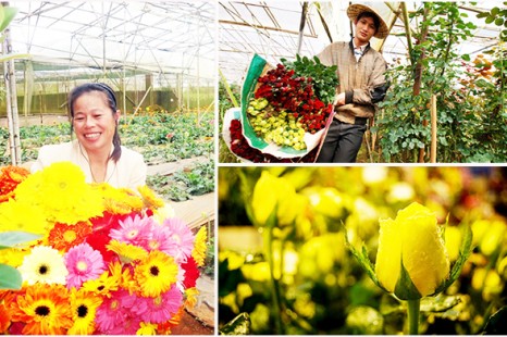 Tour Tham Quan Vùng Ven Đà lạt 1 Ngày