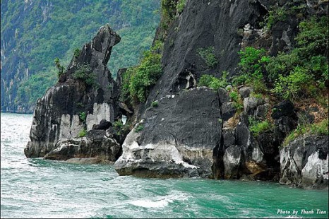 Tour Du Lịch Hạ Long - Tuần Châu 3 Ngày 2 Đêm Tàu Lavender