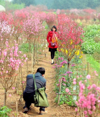 Sổ Tay Khi Đi Du Lịch Phượt Hà Nội Theo Tháng