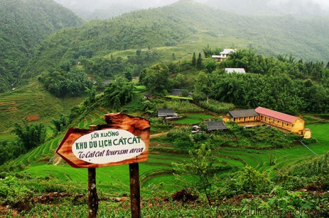 Tour Du Lịch Đà Nẵng – Hạ Long – Bái Đính – Tràng An – Sapa 6 Ngày