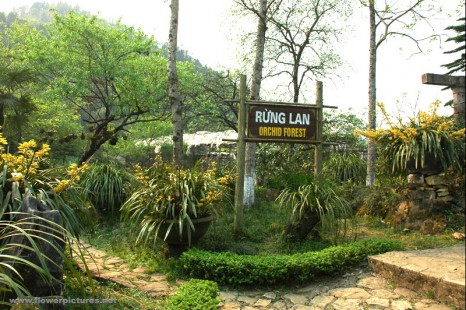 Tour Sài Gòn - Hà Nội - Hạ Long - Tuần Châu - Hoa Lư - Tam Cốc - Sapa 7 ngày