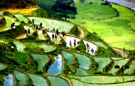 Một chuyến lên Sapa khám phá nét đẹp bản Lao Chải - Tả Van