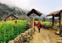 Tour Du Lịch Hà Nội - Hạ Long - Sapa 5 Ngày 4 Đêm