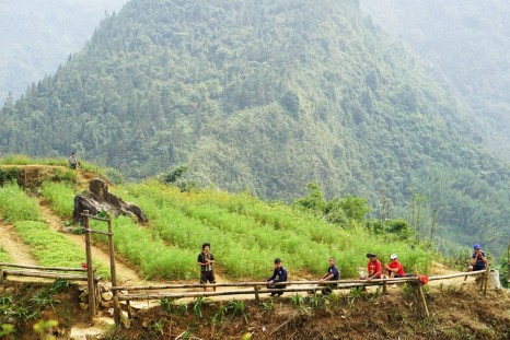 Thung lũng Mường Hoa - nơi hội tụ vẻ đẹp ngất ngây của Sapa Thung lũng Mường Hoa - nơi hội tụ vẻ đẹp ngất ngây của Sapa
