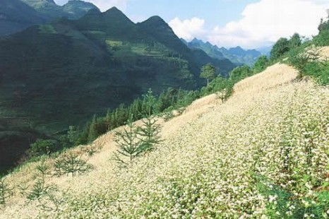 Tour Du Lịch Hà Nội – Hạ Long – Bái Đính – Tràng An – Sapa 6 Ngày