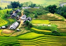 Tour Du Lịch Sapa - Bản Cát Cát - Hàm Rồng 3 Ngày (Đi - Về bằng tàu hỏa)