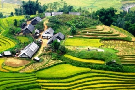 Tour Du Lịch Sapa - Bản Cát Cát - Hàm Rồng 3 Ngày (Đi - Về bằng tàu hỏa)