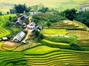 Tour Du Lịch Sapa - Bản Cát Cát - Hàm Rồng 3 Ngày