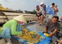 Tour Đà Nẵng - Sài Gòn - Chợ Nổi Cần Thơ - Củ Chi 4 Ngày 3 Đêm