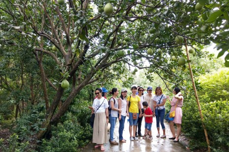 Tour Đà Nẵng - Sài Gòn - Tây Ninh - Miền Tây 4 Ngày 3 Đêm | Cao Đài - Củ Chi - Mỹ Tho - Bến Tre - Cần Thơ