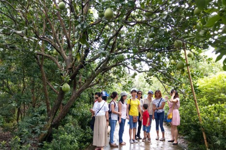 Tour Du Lịch Sài Gòn - Mỹ Tho - Đồng Tháp - Châu Đốc - Cần Thơ | 4 Ngày 3 Đêm