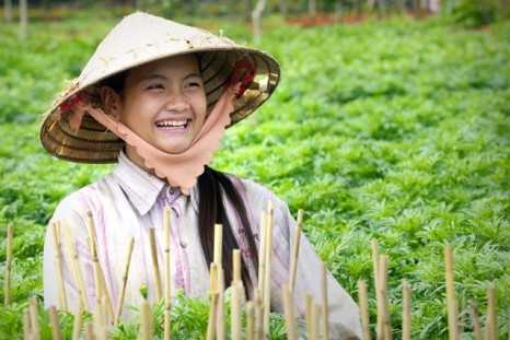 Du lịch tham quan cảnh đẹp Việt Nam