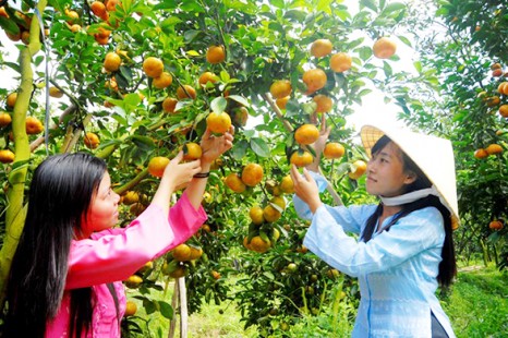 Tour Du Lịch Hà Nội - Sài Gòn - Cà Mau - Bạc Liêu - Sóc Trăng - Cần Thơ 5 Ngày