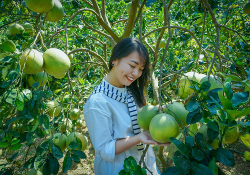 Tour Du Lịch Miền Tây & Phú Quốc 5 Ngày 4 Đêm | Mỹ Tho -...