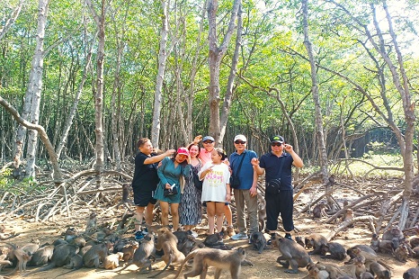TOUR ĐẢO KHỈ CẦN GIỜ 1 Ngày | Rừng Ngập Mặn - Khu Bảo Tồn Cá...
