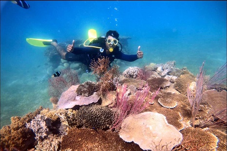 Tour Nha Trang 1 Ngày 3 Đảo | Ngắm San Hô - Làng Chài - Vui...