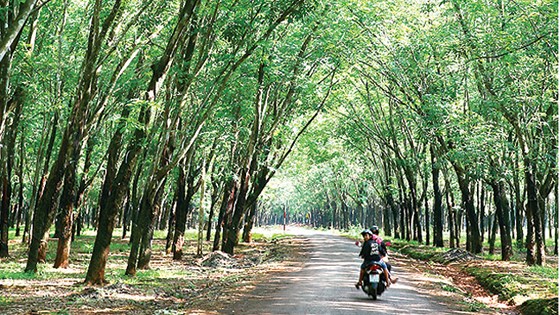 kham pha loc ninh