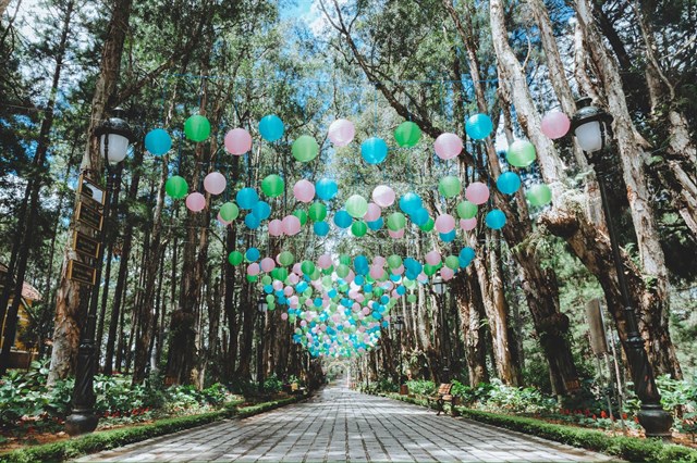 "Vui mừng như mỏi tay" trong CHỤP ẢNH CẢ THẾ GIỚI NHƯ TÂY tại Đà Lạt