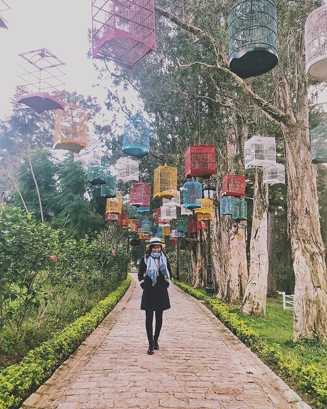 "Vui mừng như mỏi tay" trong CHỤP ẢNH CẢ THẾ GIỚI NHƯ TÂY tại Đà Lạt