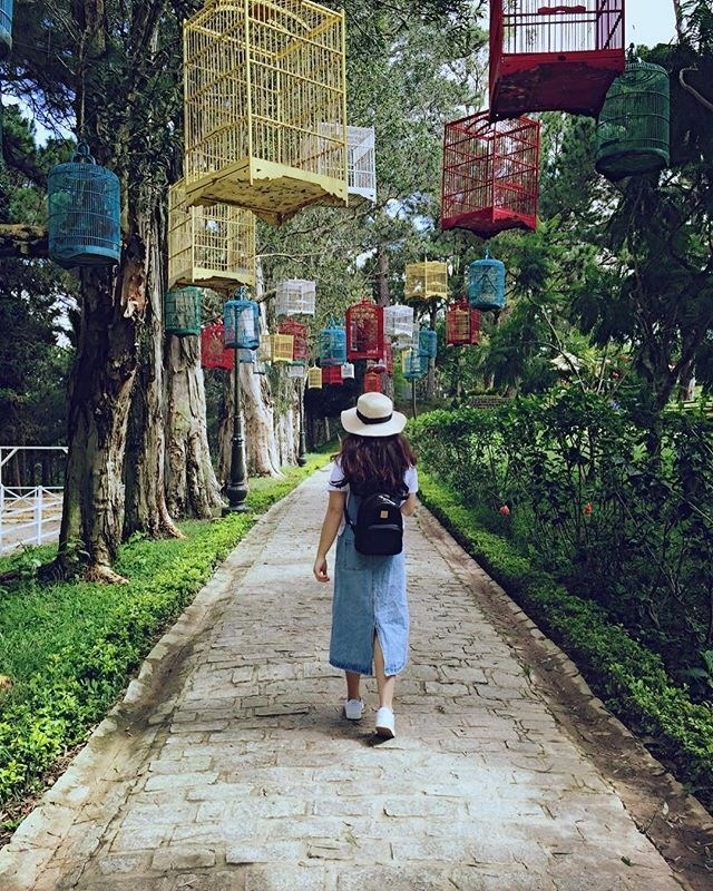 "Vui mừng như mỏi tay" trong CHỤP ẢNH CẢ THẾ GIỚI NHƯ TÂY tại Đà Lạt