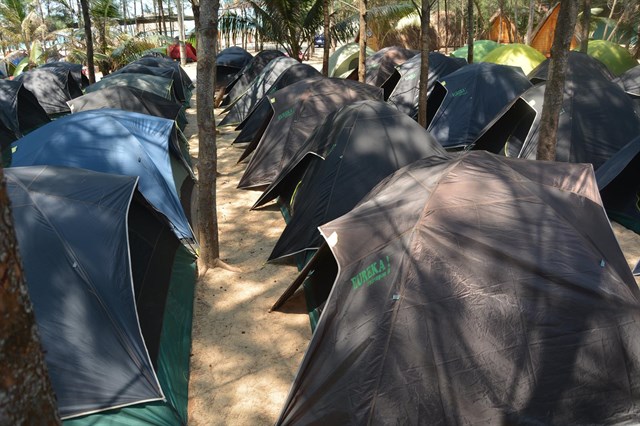 Hóng ngay những điểm cắm trại cực cool cho teen Sài Gòn