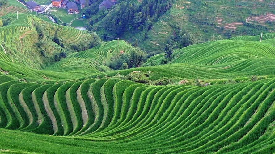 tour du lich nghi duong