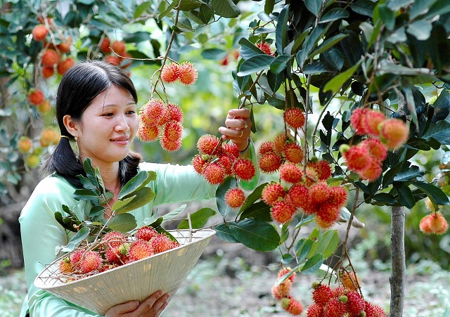 nhung dia diem du lich mien tay nam bo