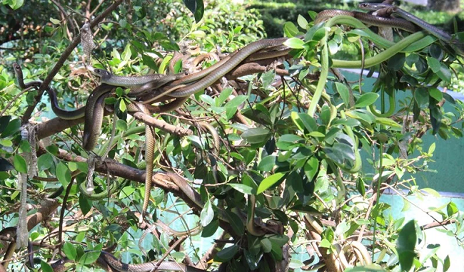 du lich mien tay nen di nhung dau