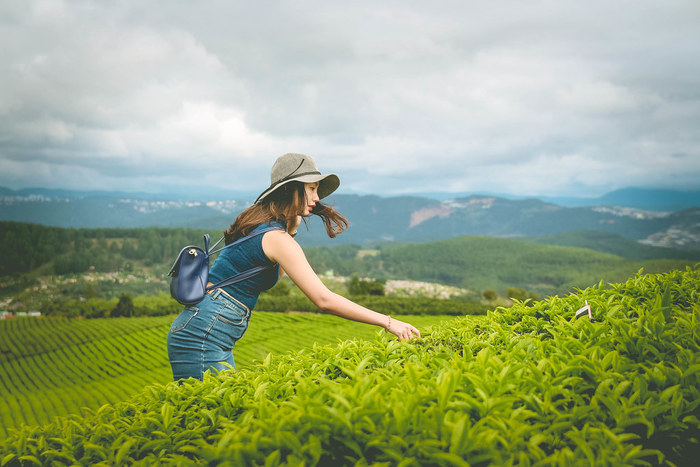 le 30/4 nen di dau choi o da lat